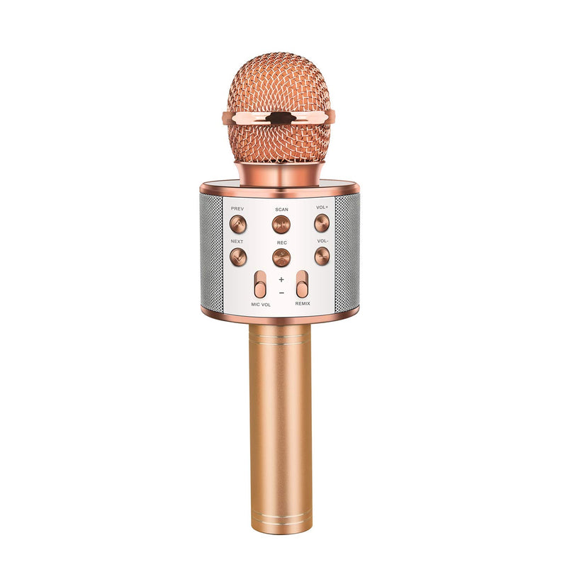 3-in-1 Bluetooth karaoke Microphone Q858L - FoundX